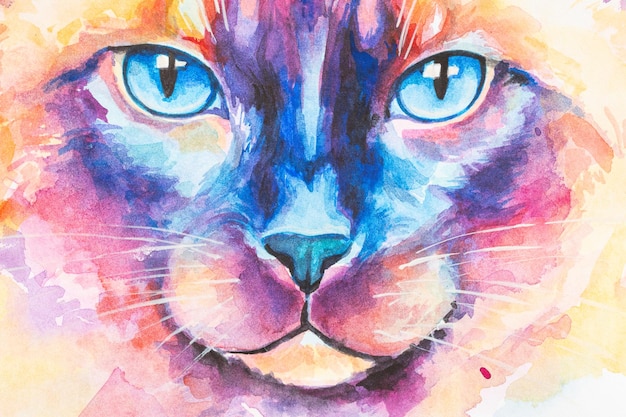 Siamkatze mit Aquarell auf weißem Hintergrund in realistischer Weise gemalt, bunter Regenbogen, ideal für Unterrichtsmaterialien, Bücher und Designs zum Thema Natur. Farbspritzer-Symbole für Katzen