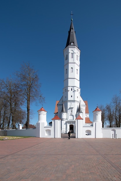 Siauliai Lituania Catedral de los Santos Pedro y Pablo