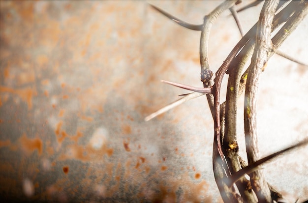 Sich verzeigen. Eine Darstellung der Dornenkrone Jesu Christi und eines Nagels am Heiligen Kreuz