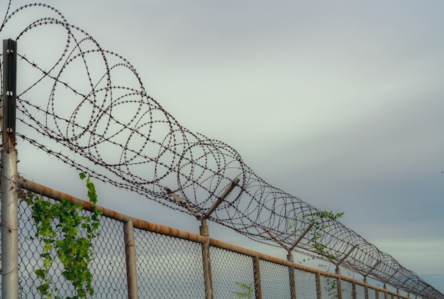 Sicherheitszaun des Gefängnisses. Sicherheitszaun aus Stacheldraht. Gefängniszaun aus Stacheldraht. Barriere Grenze. Grenzsicherungsmauer. Gefängnis für die Festnahme von Kriminellen oder Terroristen. Privater Bereich. Konzept der Militärzone.