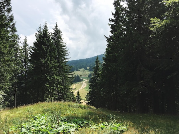Sicht auf das Wildnisgebiet