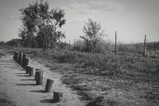 Foto sicht auf den friedhof auf dem feld gegen den himmel