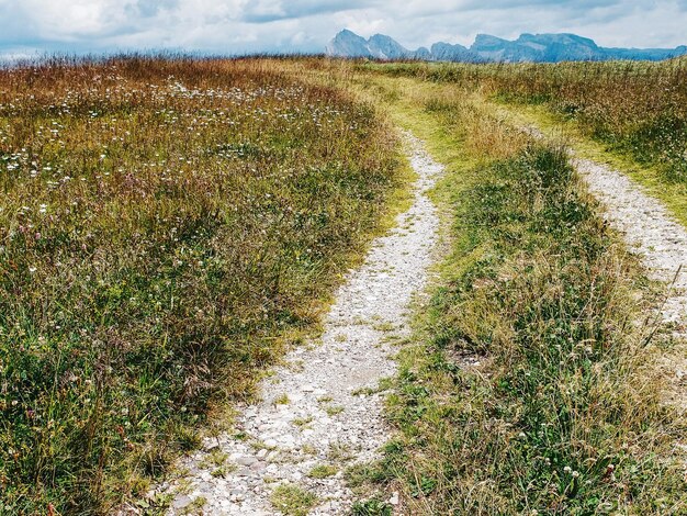 Foto sicht auf den weg entlang der landschaft