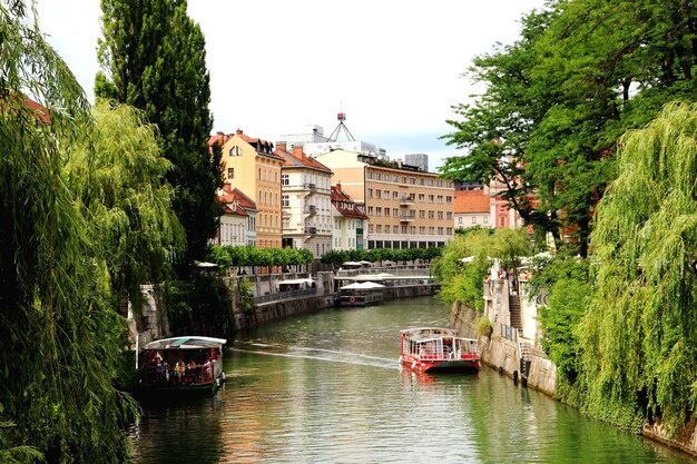 Sicht auf die Brücke über den Fluss