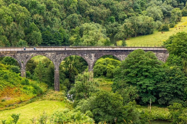 Foto sicht auf die brücke über den wald