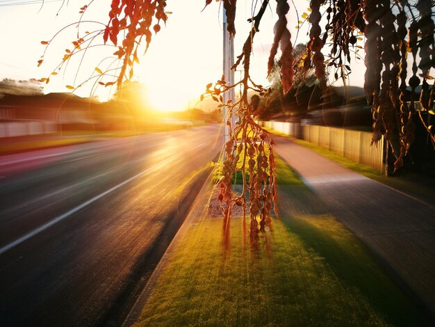 Foto sicht auf die straße in der stadt bei sonnenuntergang