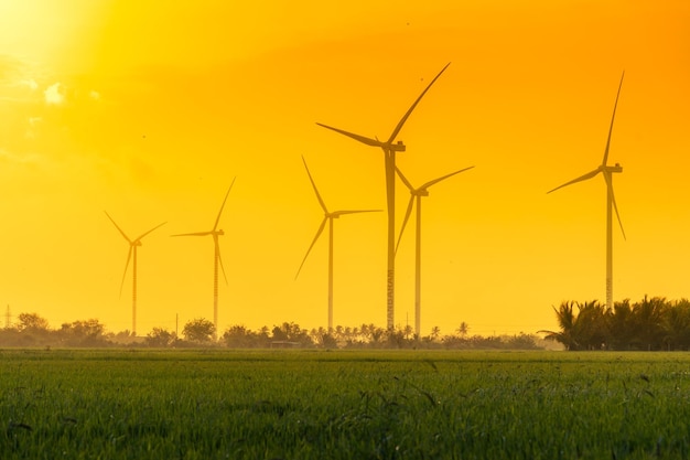 Sicht auf die Turbine Grüne Energie Strom Windmühle zur Stromerzeugung Windturbinen, die Strom auf einem Reisfeld in der Provinz Phan Rang Ninh Thuan Vietnam erzeugen