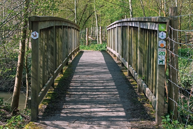 Foto sicht auf eine fußgängerbrücke im wald