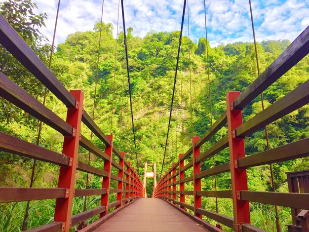 Foto sicht auf eine fußgängerbrücke im wald