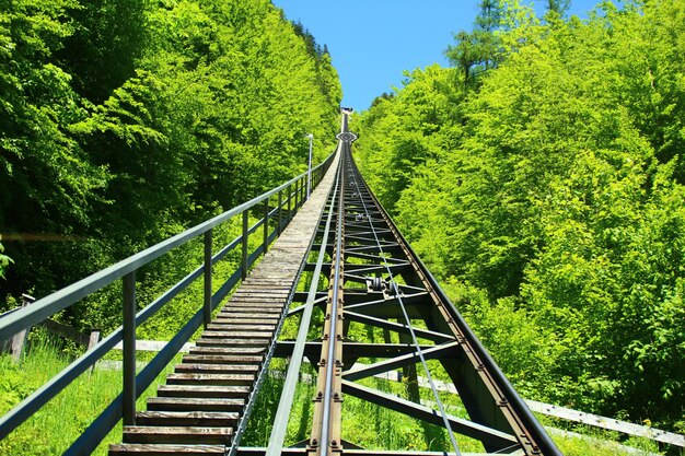 Foto sicht auf eine fußgängerbrücke im wald