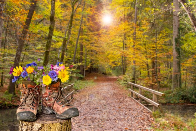 Foto sicht auf eine person, die auf einer bank im wald sitzt