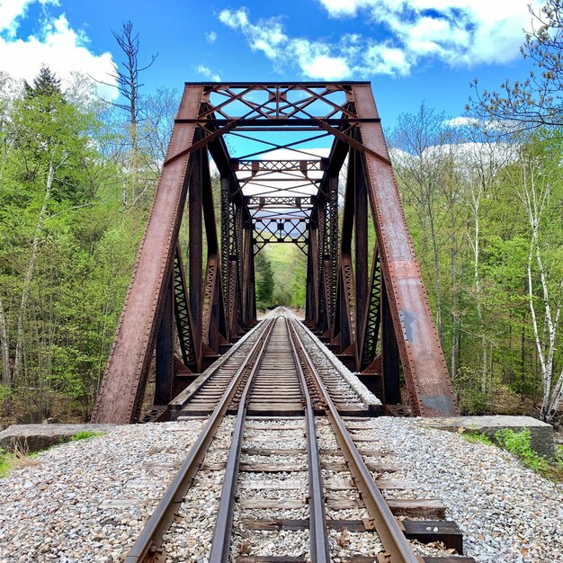 Foto sicht auf eisenbahnschienen gegen pflanzen