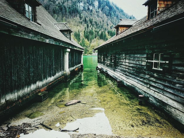 Foto sicht auf vögel im wasser