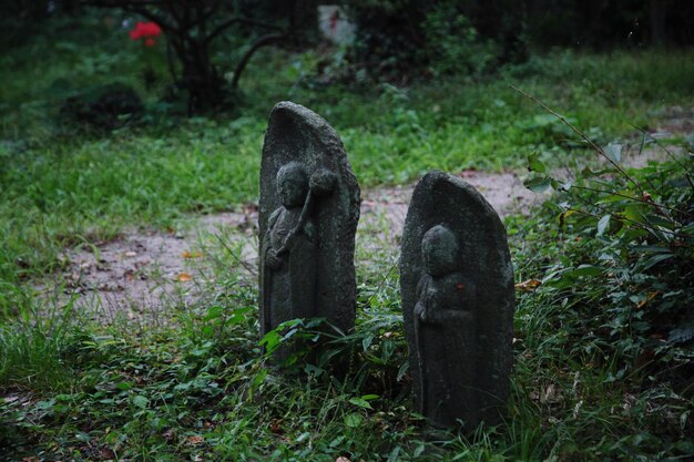 Sicht auf zwei historische Grabsteine