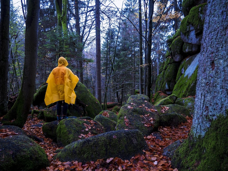Foto sicht von hinten auf eine person im wald