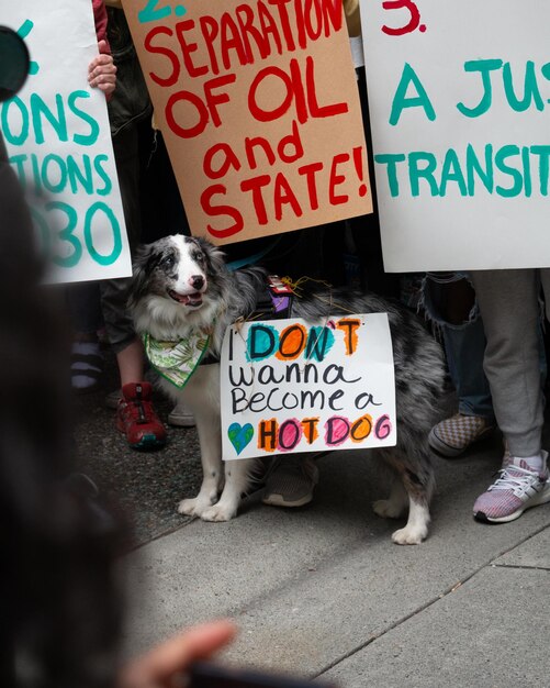 Foto sicht von hund mit text auf schild klima streik in vancouver bc