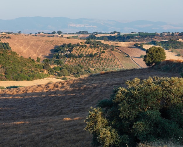 Sicilia verano agricultura campo Italia