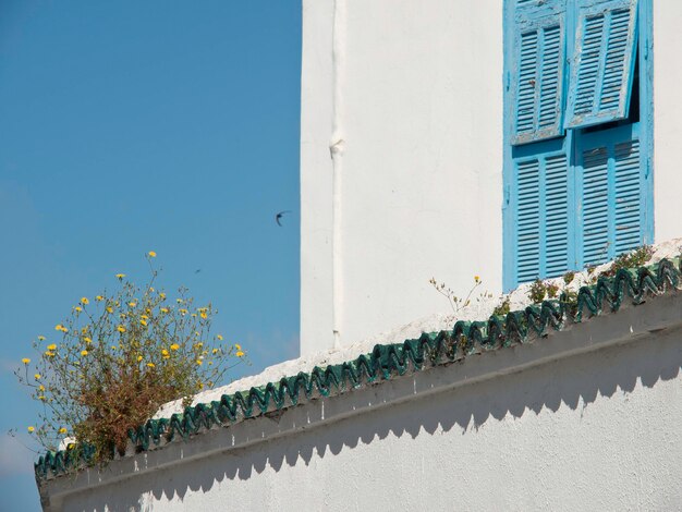 Sidi Bou dijo en África