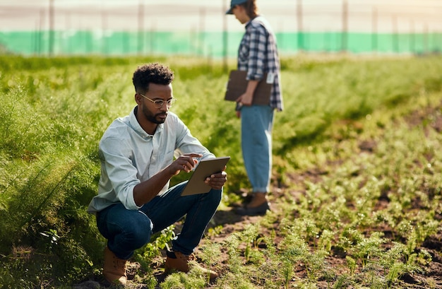 Sie haben beide einen Job zu erledigen Ganzkörperaufnahme eines hübschen jungen männlichen Bauern, der ein Tablet benutzt, während er auf seiner Farm arbeitet, mit einer Kollegin im Hintergrund