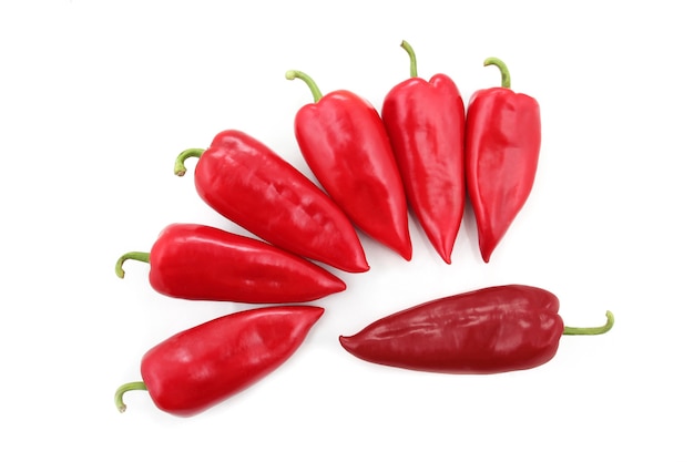 Sieben leuchtend rote Paprika auf weißem Grund
