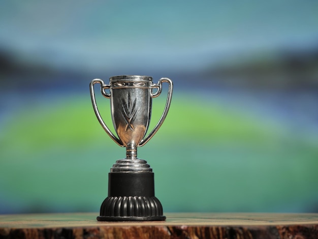 Siegesfeier im Stadion mit silberner Trophäe