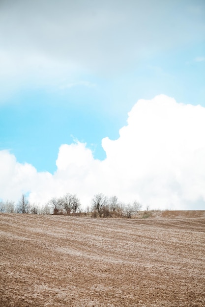 Siembra en campo con cielo nublado