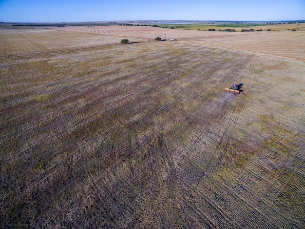 Siembra directa en campo argentino Provincia de La Pampa Argentina