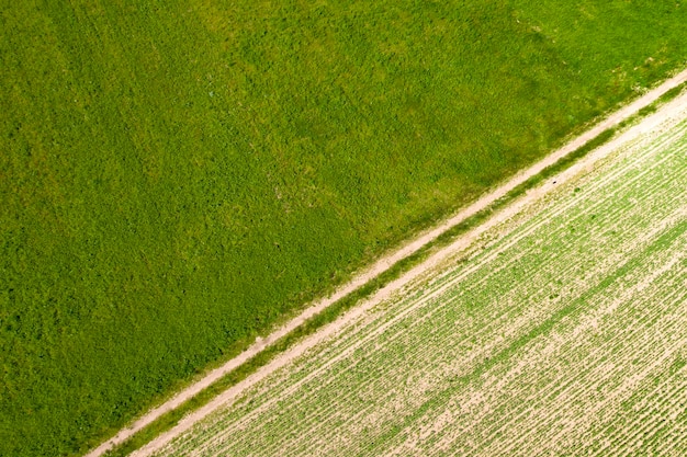 Siembra de pasto joven en la primavera en el campo tomada desde un helicóptero.