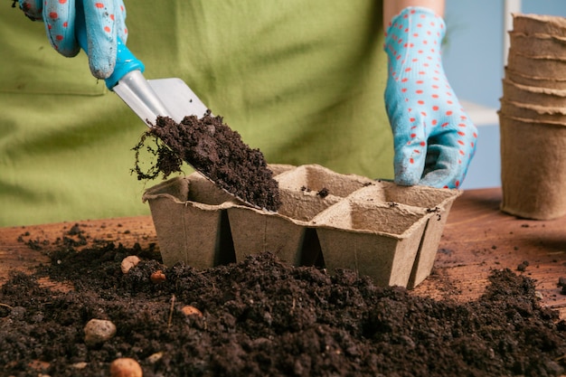 Siembra de plántulas en invernadero en primavera cerca