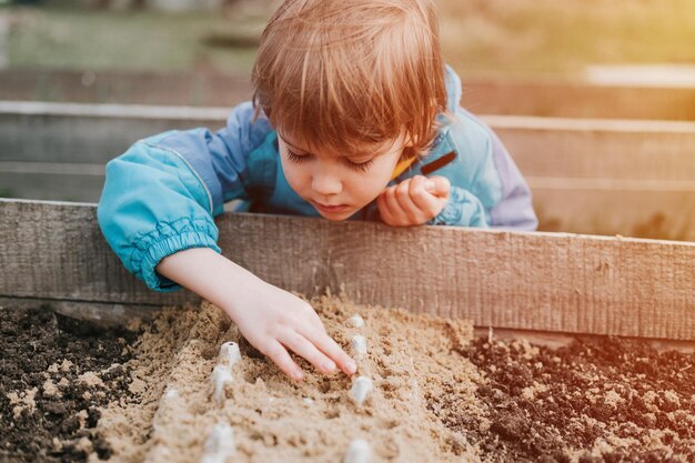 Siembra de primavera en el jardín de la granja, niño pequeño de seis años, agricultor, jardinero, plantas y siembra de semillas de hortalizas en el suelo en la cama, jardinería y comienzo de la temporada de verano en el campo.