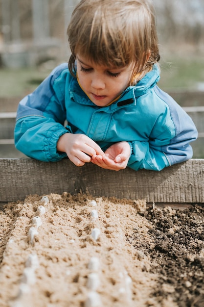 Siembra de primavera en el jardín de la granja, niño pequeño de seis años, agricultor, jardinero, plantas y siembra semillas de hortalizas en el suelo en la cama, jardinería y comienzo de la temporada de verano en el pueblo rural.