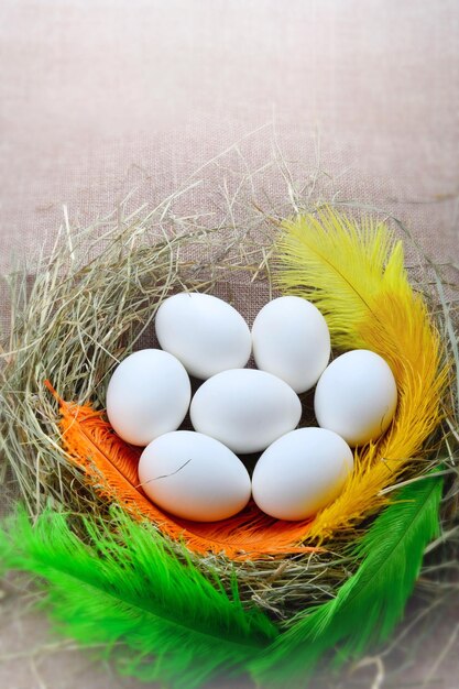 Siete huevos de gallina blancos en un nido de heno hecho de heno y plumas de color amarillo naranja y verde