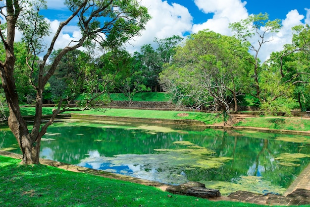 Sigiriya Lion Rock Fortress in Sri Lanka