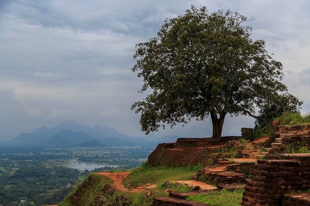 Sigiriya, sri lanka