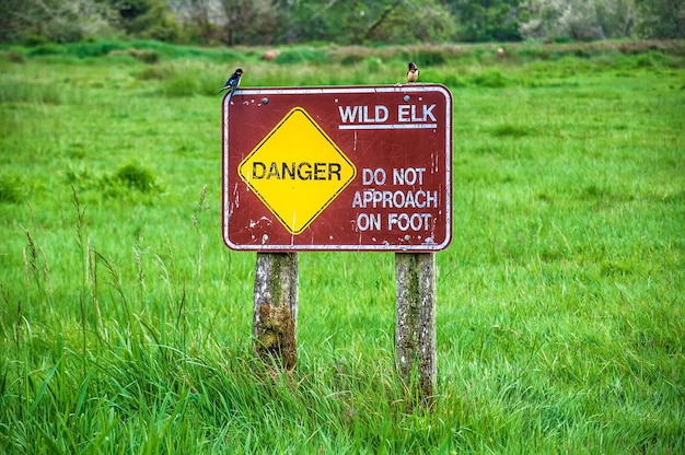 Signo de alces salvajes en el parque Redwood