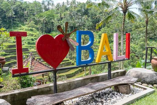 Signo colorido I Love Bali cerca de terrazas de campos de arroz en la isla de fondo Bali Indonesia