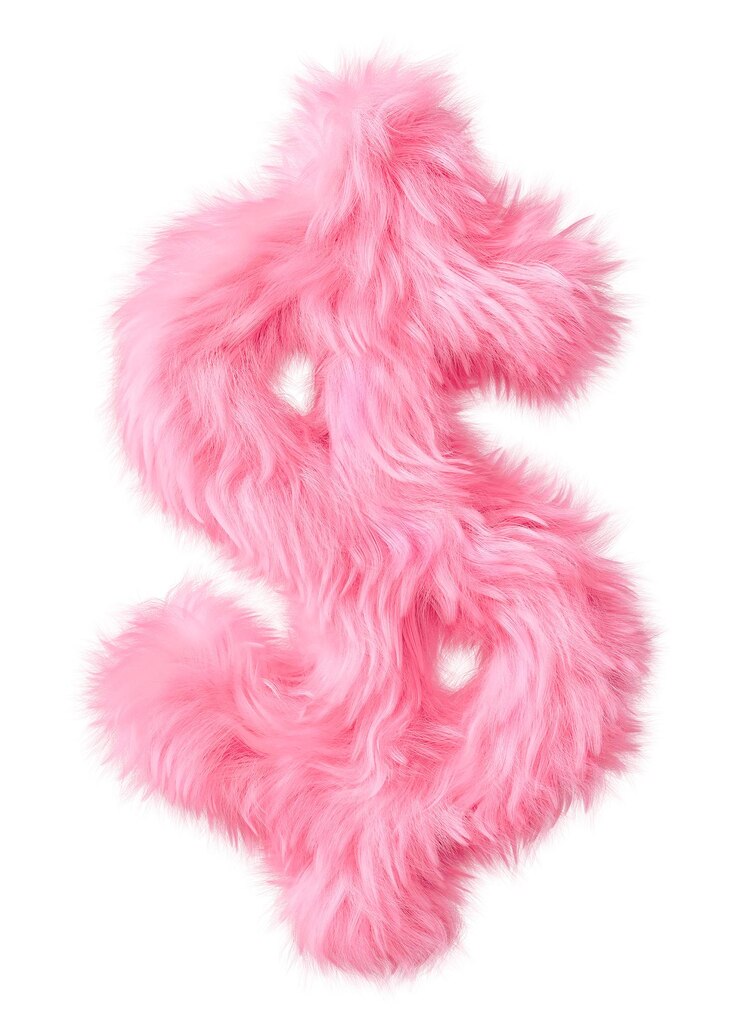 Foto signo de dólar png fonte fofa em pele rosa fundo transparente