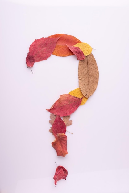Signo de interrogación hecho de hojas de otoño sobre fondo blanco.
