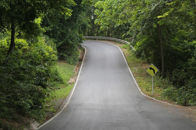 Signos de la curva de la carretera.