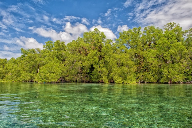 Siladen türkisfarbene tropische Paradiesinsel