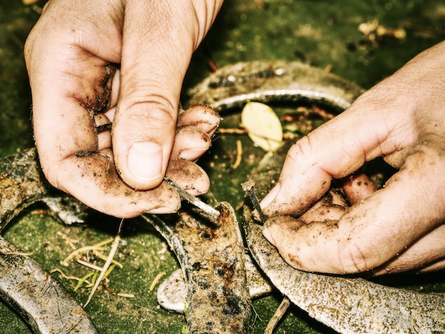 Foto silberne pferdeschuhe auf weiblichen palmen mit veralteten hufeisen auf dem mit gefallenen blättern übersätem boden