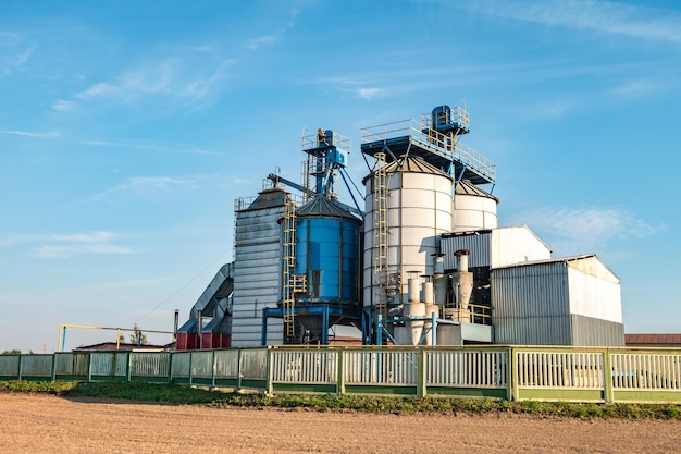 Silbersilos auf Agro-Produktionsanlage für die Verarbeitung, Trocknung, Reinigung und Lagerung von landwirtschaftlichen Produkten, Mehl, Getreide und Getreide