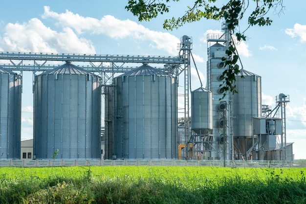 Silbersilos auf Agro-Produktionsanlage zur Verarbeitung, Trocknung, Reinigung und Lagerung von landwirtschaftlichen Produkten, Mehl, Getreide und Getreide. Große Eisenfässer mit Getreide