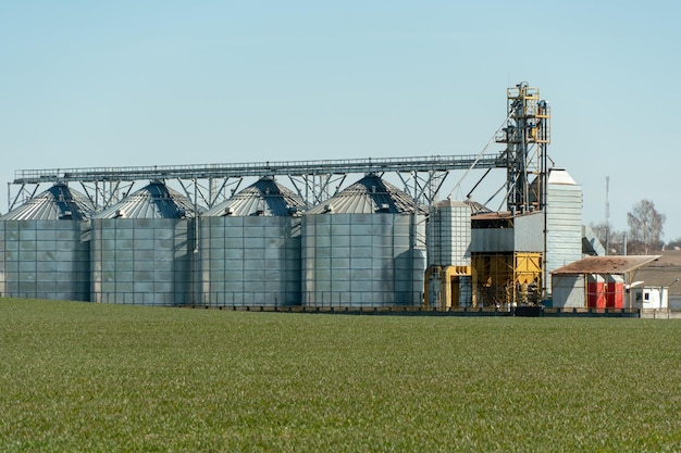 Foto silbersilos auf agro-produktionsanlage zur verarbeitung, trocknung, reinigung und lagerung von landwirtschaftlichen produkten, mehl, getreide und getreide. große eisenfässer mit getreide