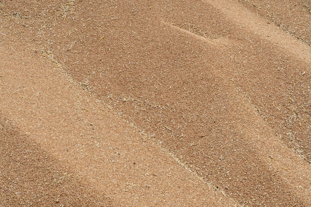 Silbersilos auf einer Agro-Produktionsanlage zur Verarbeitung, Trocknung, Reinigung und Lagerung von landwirtschaftlichen Produkten, Mehl, Getreide und Getreide Eisenfässer Ein großer Getreidehaufen in der Nähe des Getreidespeicheraufzugs