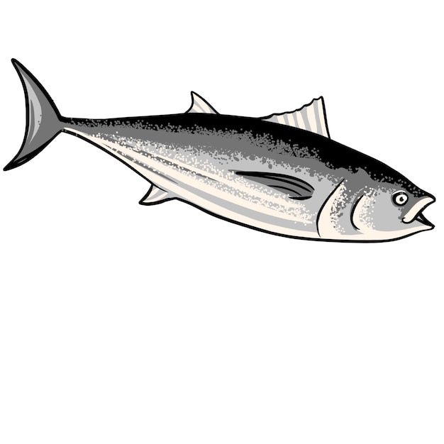 Silbertufenfisch