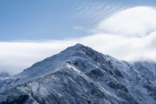 Silêncio entre as montanhas cobertas de neve, vida selvagem incrível