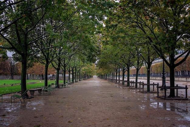 Silêncio Tuileries beco postrain bancos esperam sob árvores protetoras em Paris conceito de viagem