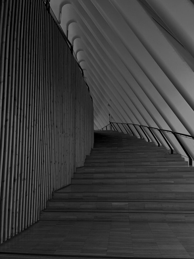 Silent Sentinels en blanco y negro Arquitectura de la naturaleza
