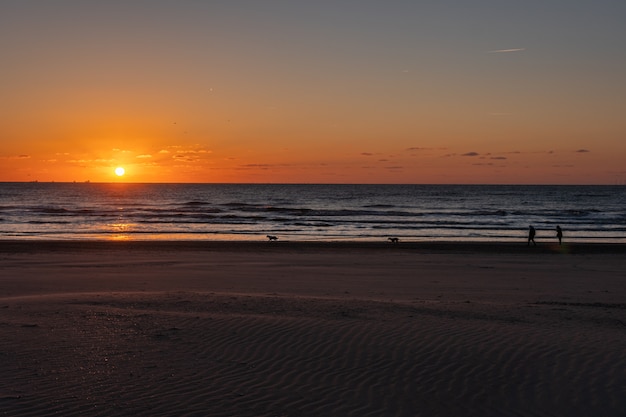 Silhouete de pareja y perros. Hermoso paisaje al atardecer en el mar del Norte con cielo naranja y sol impresionante reflejo dorado sobre las olas en el. Impresionante vista del atardecer de verano en la playa.